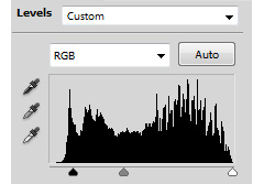 histogram levels of light image print